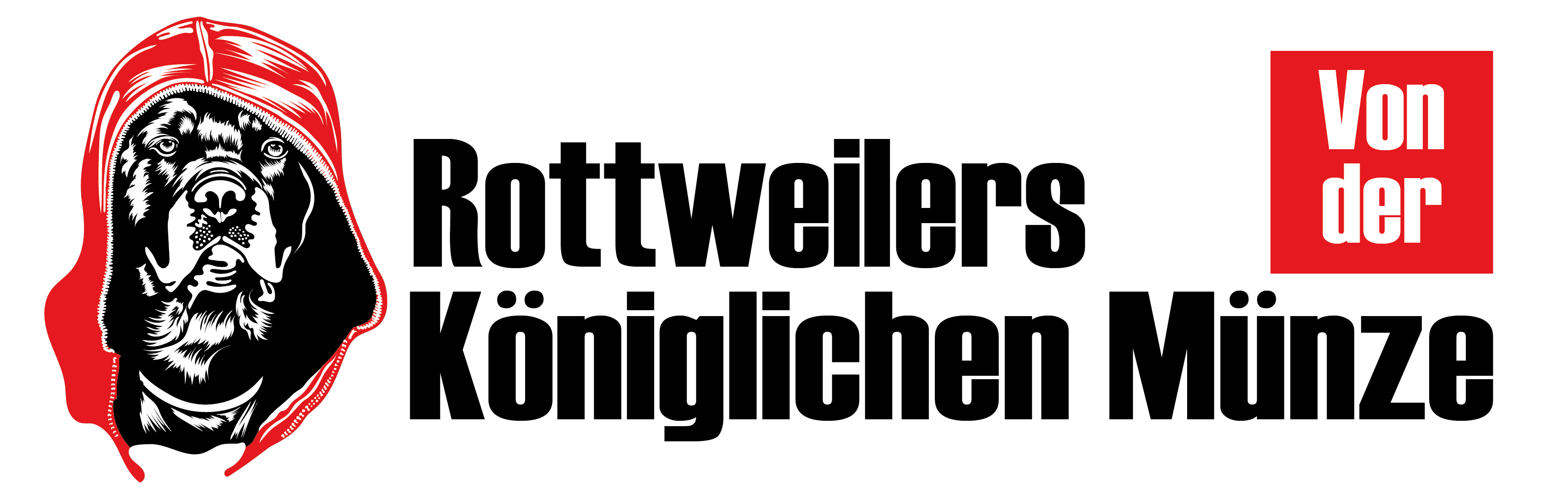 logo VDKM long